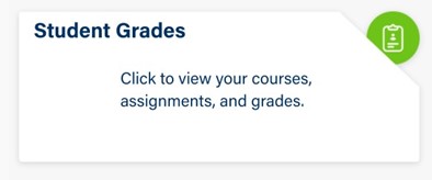 Students Grades card Students Grades card